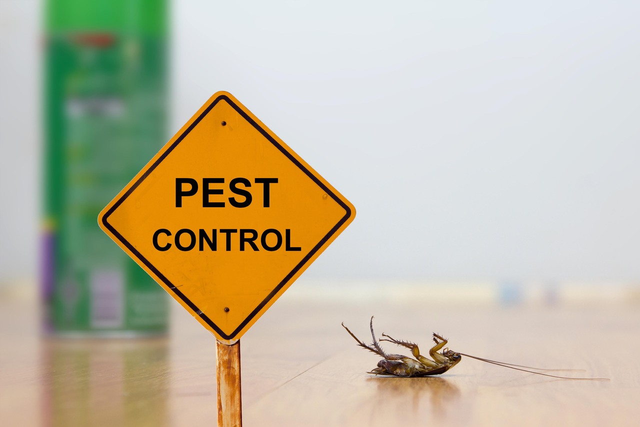 Everyday Pest Prevention Tips