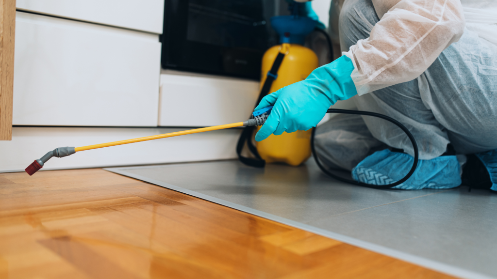 Stop Inescts How to Prevent Pests From Entering Your Home or Business - Proctor Pest ...