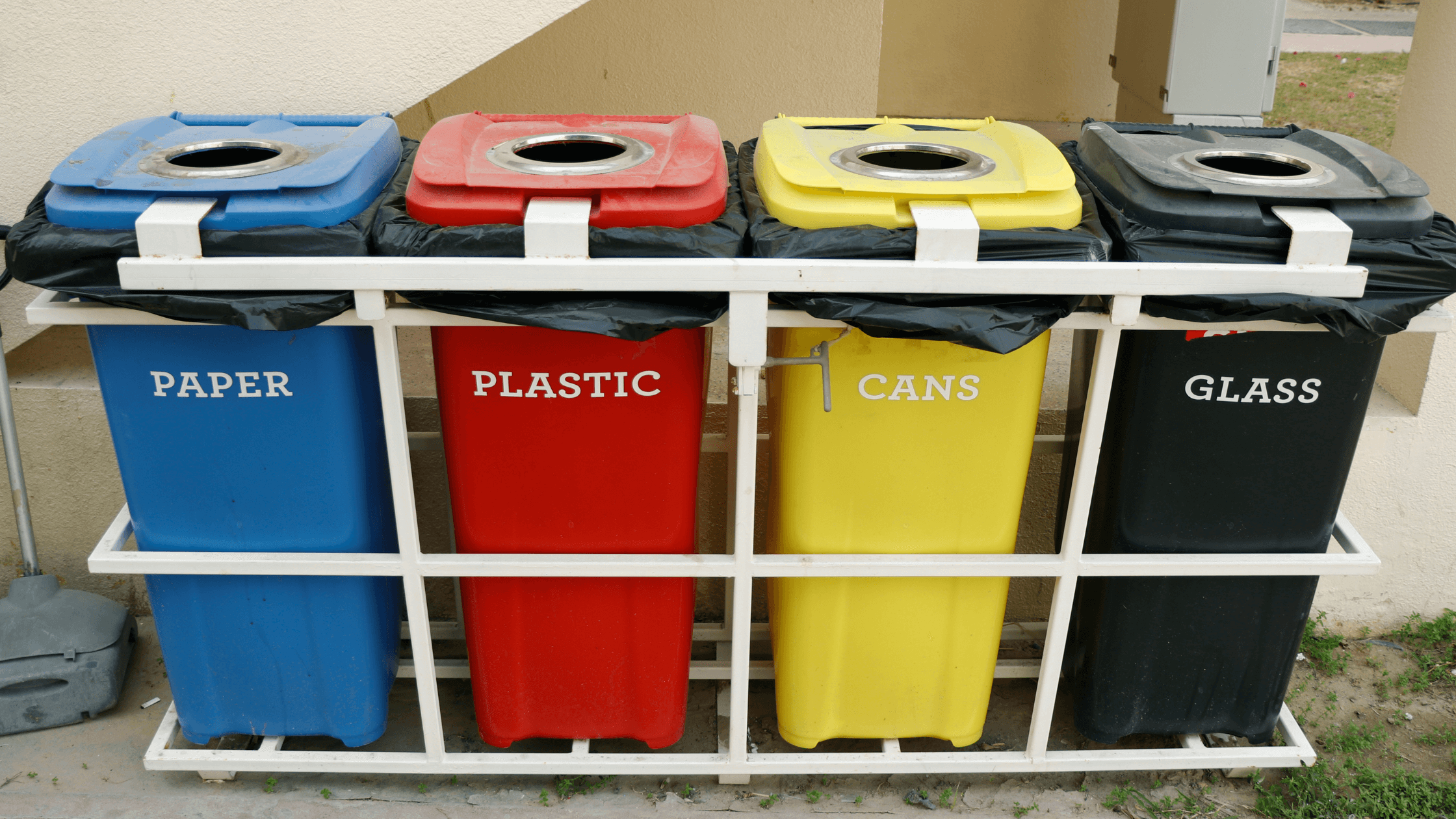 Waste management, proper waste management, Pest Infestations