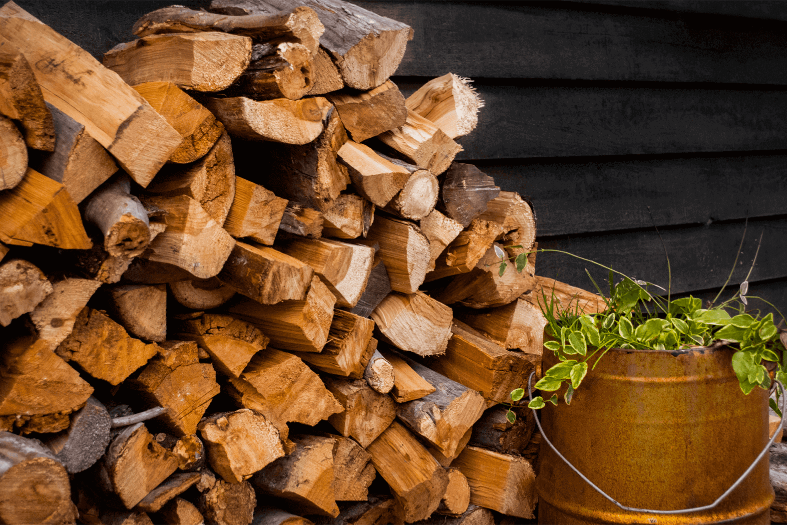 Firewood And Winter Pests, Pest-free