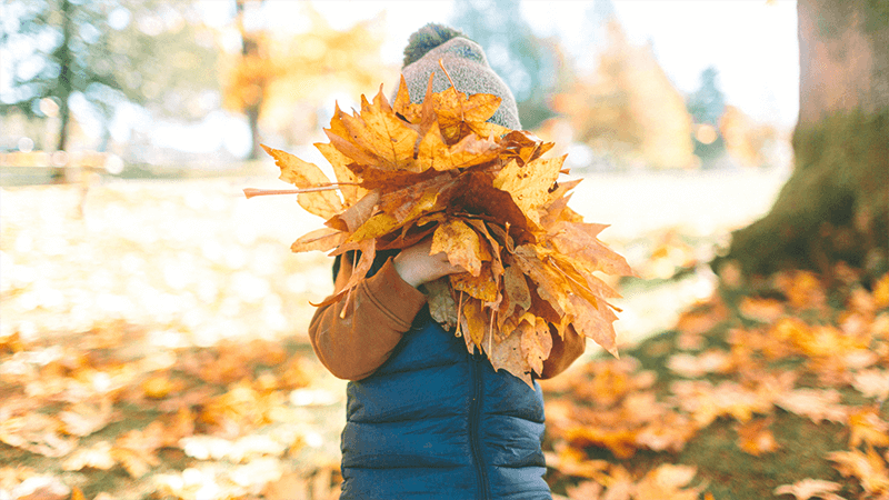 Child playing in a pile of fall leaves, symbolizing the changing seasons when common bugs like boxelder bugs and ladybugs emerge.